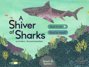 shiversharks-300x225
